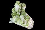 Lustrous Epidote with Quartz Crystals - Morocco #84336-2